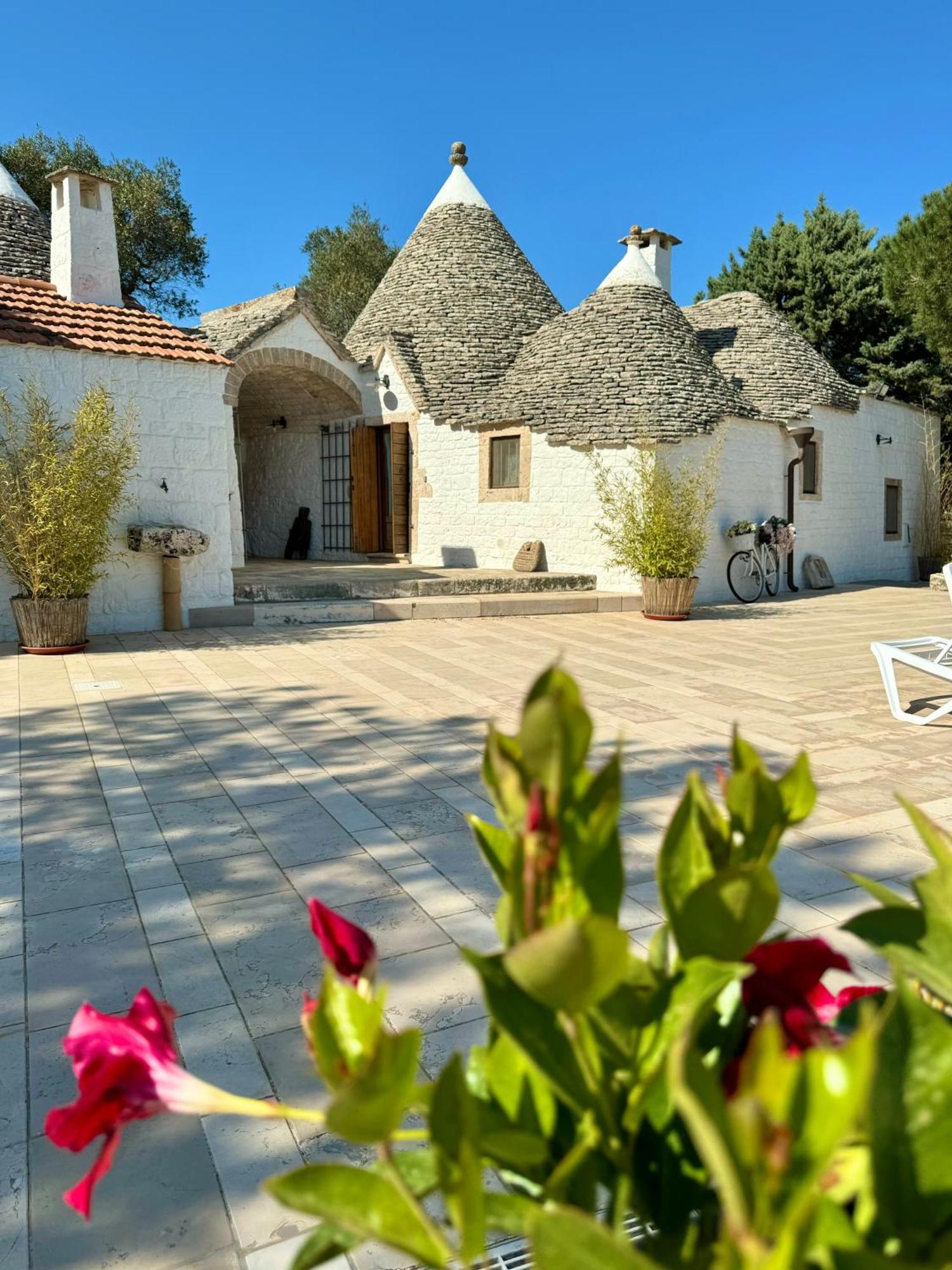 Trulli Bosco Selva Apartment Alberobello Bagian luar foto